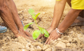 Fundraising and donations using digital marketing